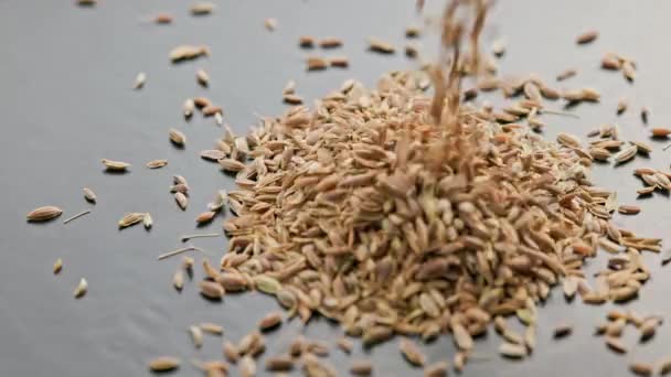 Dry dill seeds pouring in black surface closeup with slo-mo — Stock video