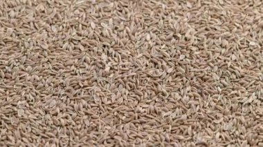 dry dill seeds on flat surface, slow rotating looped background