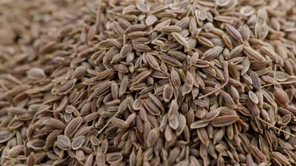 Dry dill seeds pile, slow rotating looped background — Stock video