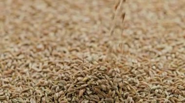 dry dill seeds pouring on pile, rotating closeup with slo-mo