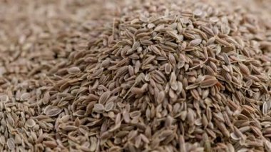 dry dill seeds pile, slow rotating looped background