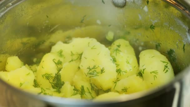 Close-up view of casserole with steamy boiled potatoes with dill — Stock video