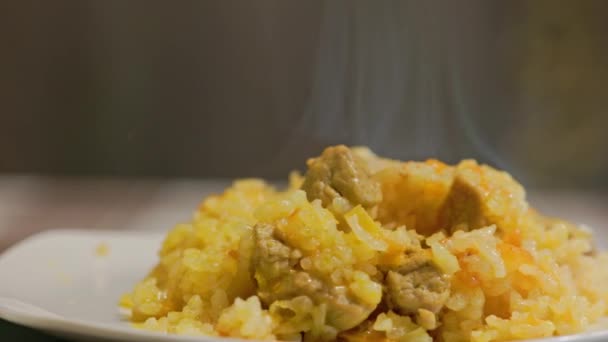 Dish of hot pilaf, pilau, pilaw or pilaff with turkey meat spinning on plate — Vídeo de Stock