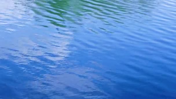 Small ripples on the surface of the lake with a reflection of the blue sky and white clouds — Vídeo de stock