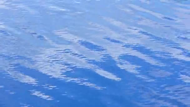 Small ripples on the surface of the lake with a reflection of the blue sky and white clouds — Stockvideo