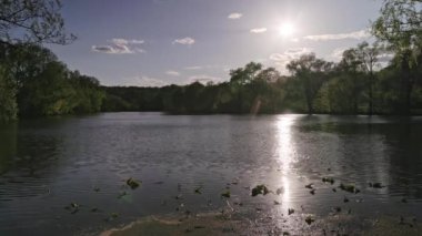 summer lake in Yasnaya Polyana with trees on the banks and floating water lilies in foreground