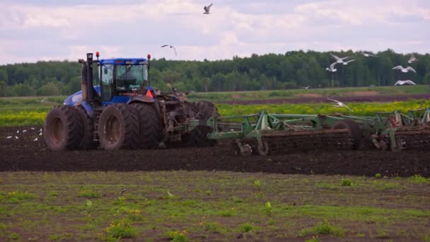 Blue Tractor Double Wheels Pulling Disc Harrow Roller Baskets Spring — Stock video
