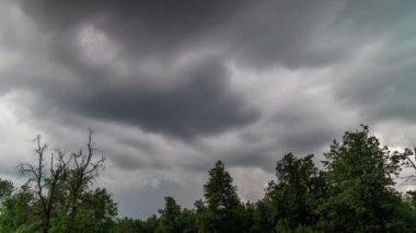 stormy clouds above green forest tree tops at summer day before rainstorm