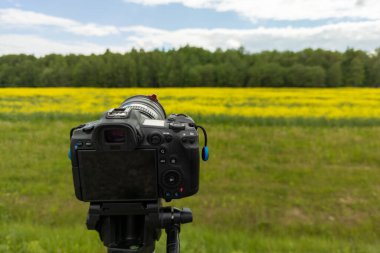 modern professional mirrorless camera on tripod shooting yellow field on tripod, closeup with selective focus