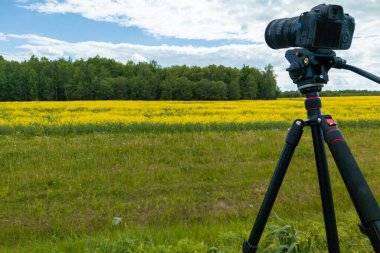 modern professional mirrorless camera on tripod shooting yellow field on tripod, closeup with selective focus