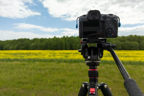 modern professional mirrorless camera on tripod shooting yellow field on tripod, closeup with selective focus