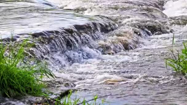 小さな急流の夏の川の流れる水は夜の光でゆっくりとした動きに焦点を当て — ストック動画