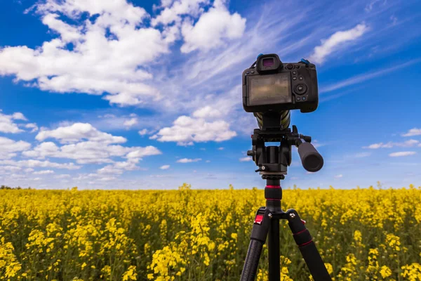modern professional mirrorless camera on tripod shooting yellow field on tripod, closeup with selective focus