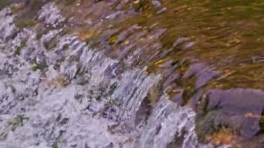 the flowing water of a summer river with a small rapid waterfall in in slow motion at daylight.