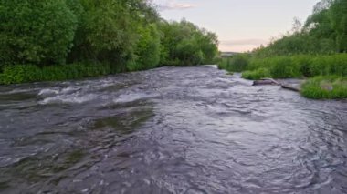 the flowing water of a summer river surrounded with green grass and trees in realtime at daylight.