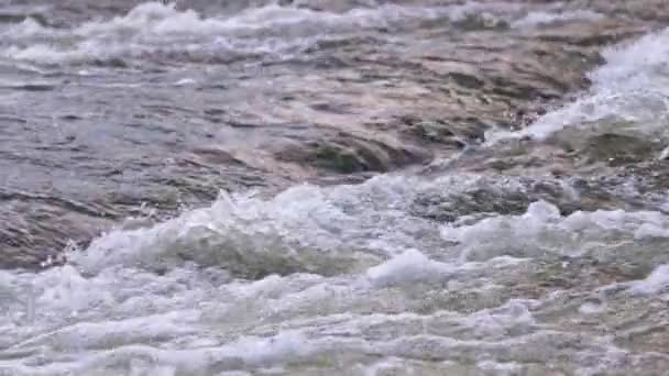 Flowing Water Summer River Small Rapid Waterfall Slow Motion Daylight — Stockvideo