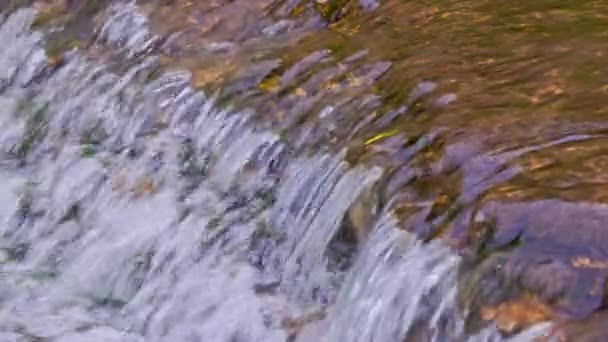 夏の川の流れる水は太陽の光でリアルタイムに — ストック動画