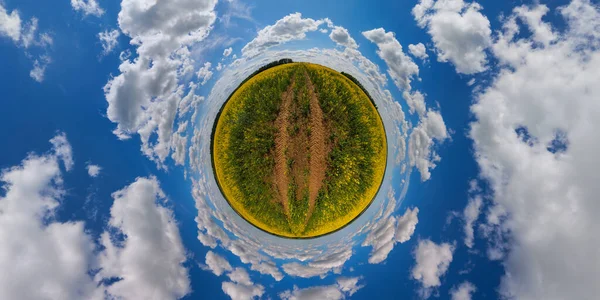 little planet projection of 360 degree spherical panorama of summer day blossomong yellow rapseed colza field with blue sky and white clouds
