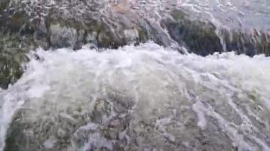 the flowing water of a summer river with a small rapid waterfall in real-time at daylight.