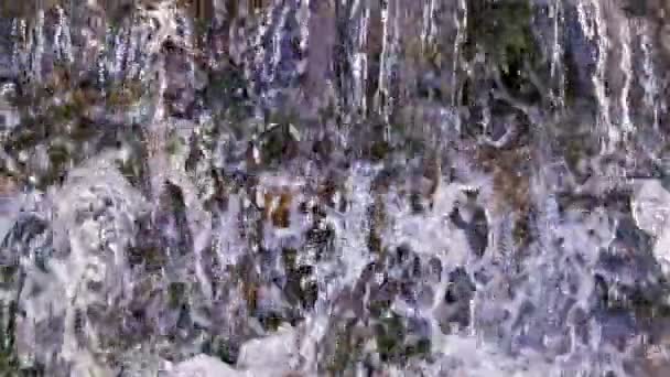 Flowing Water Small Rapid Waterfall River Slow Motion Daylight Full — Wideo stockowe