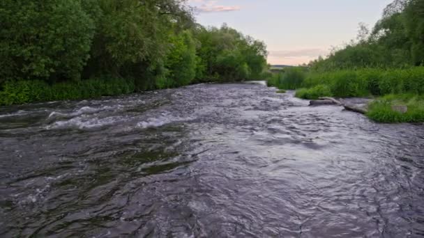 夏の川の流れる水は緑の草や木々に囲まれ昼間はゆっくりと動き — ストック動画