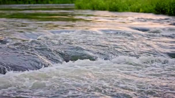 Flowing Water Summer River Small Rapid Waterfall Slow Motion Daylight — Stok video