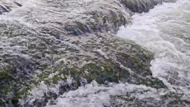 夏の川の流れる水は太陽の光でゆっくりと動き — ストック動画
