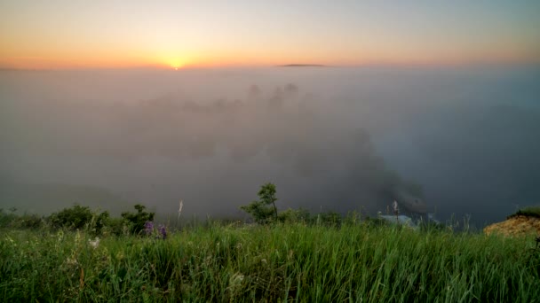 Time Lapse Summer Foggy River Sunrise Mist Flow — Stockvideo