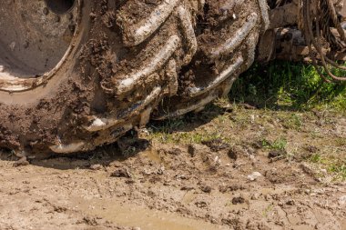 dirty double wheels of big agriculture tractor on dirt road at summer day diredt sun light