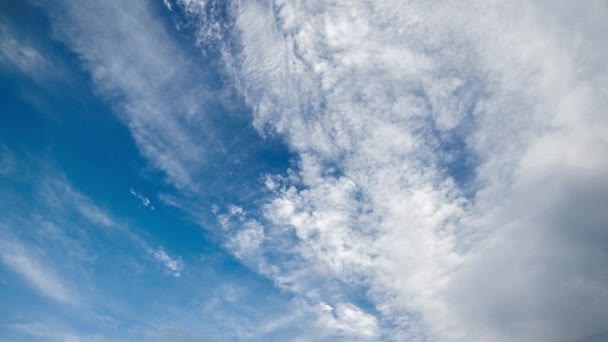 Mixed White Clouds Blue Sky Background Cloudscape Time Lapse Upward — 비디오