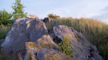 quartz sandstone rocks with young wood between, at evening summer sunset.