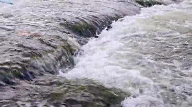 the flowing water of a summer river with a small rapid waterfall in real-time at daylight.
