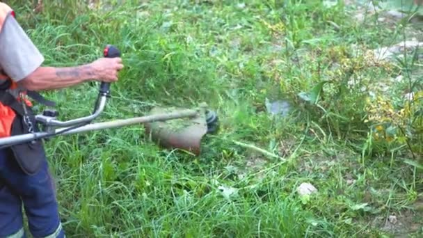 Man Mows Grass Manual Petrol Lawn Mower Slow Motion Process — Video Stock