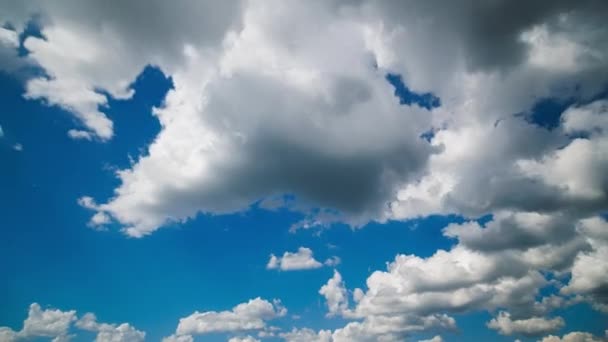 Mixed White Clouds Blue Sky Background Cloudscape Time Lapse Upward — Stockvideo