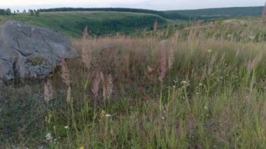 wild summer grass swaying in wind on slope ravine in the background and quartzite sandstone in the foreground.