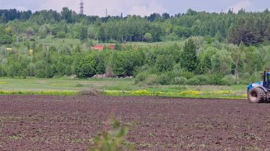 Blue tractor with double wheels pulling disc harrow with roller baskets at hot spring day with heat haze surrounded with black-headed gulls, slow motion