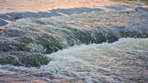 Flowing Water Summer River Small Rapid Waterfall Slow Motion Daylight — Vídeo de stock