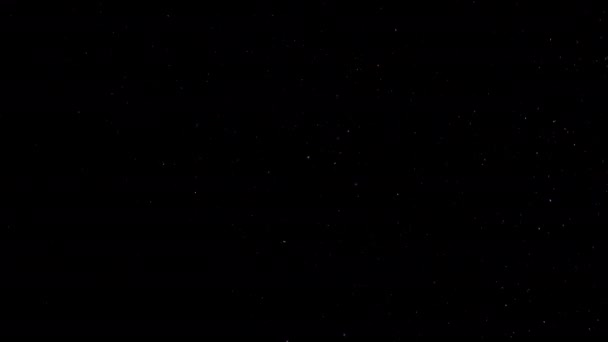 Домашние Пылевые Частицы Летящие Воздухе Черном Фоне Украшений Реальные Кадры — стоковое видео