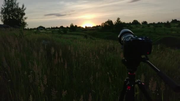 Camera Tripod Shooting Sunrise Summer Meadow Captured Cellphone — Vídeo de stock