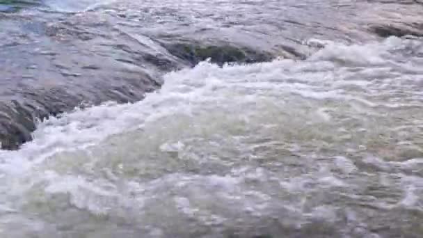 Flowing Water Summer River Small Rapid Waterfall Real Time Daylight — Stockvideo