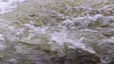 seething stream of flowing water of a summer river in realtime at daylight, close-up full-frame background