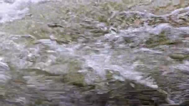 Seething Stream Flowing Water Summer River Realtime Daylight Close Full — Stock video