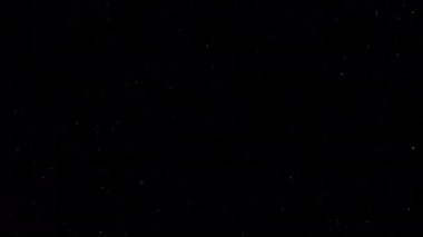 domestic dust particles flying in the air on black backgroundm unadorned real-life footage