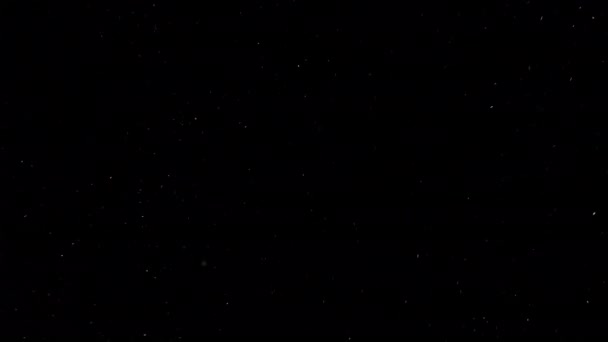 黒い背景に空気中を飛んでいる国内の塵粒子が飾られていない現実の映像 — ストック動画
