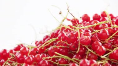 close-up looped spinning red currants with peduncle on white background