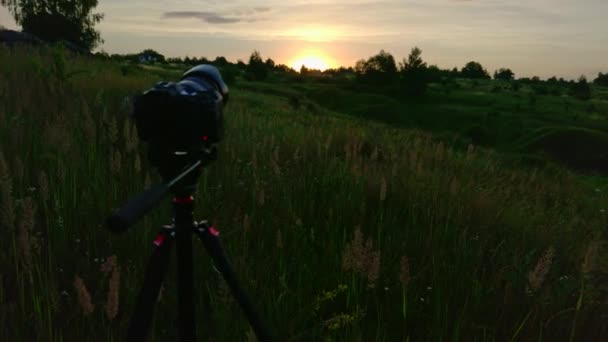 Camera Tripod Shooting Sunrise Summer Meadow Captured Cellphone — Video Stock