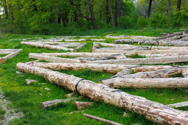 forged steel stripe connection of wooden log beams for roof support girder framework laid on green grass at summer day during assembly