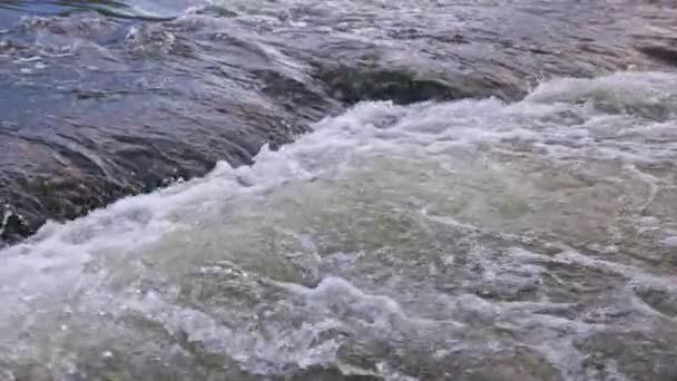 Flowing Water Summer River Small Rapid Waterfall Slow Motion Daylight — Vídeo de stock