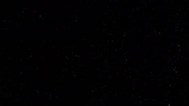 domestic dust particles flying in the air on black backgroundm unadorned real-life footage