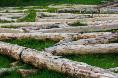 forged steel stripe connection of wooden log beams for roof support girder framework laid on green grass at summer day during assembly